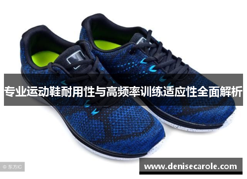 专业运动鞋耐用性与高频率训练适应性全面解析