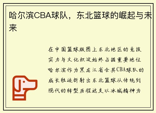 哈尔滨CBA球队，东北篮球的崛起与未来