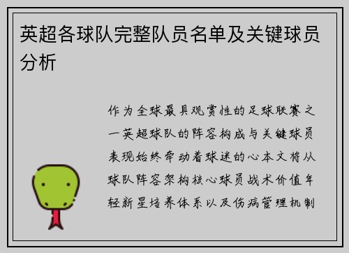 英超各球队完整队员名单及关键球员分析