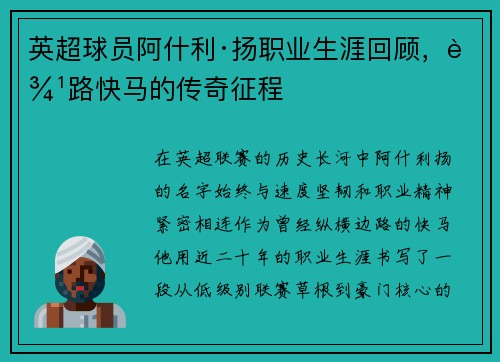 英超球员阿什利·扬职业生涯回顾，边路快马的传奇征程